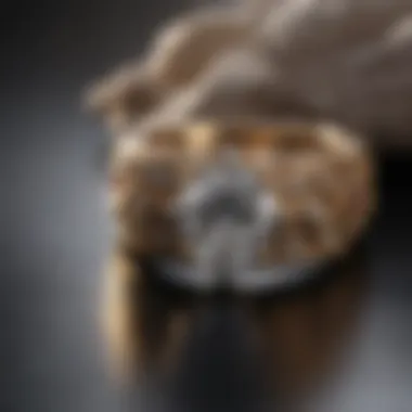 A close-up view of ethically sourced materials used in the creation of wedding rings.