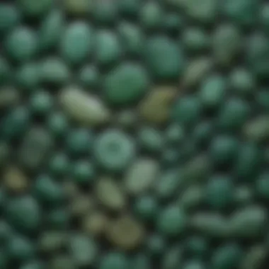 A close-up view of various jade types used in carvings