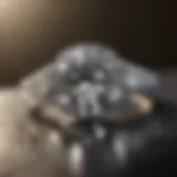 Close-up view of a one carat lab diamond ring showcasing its brilliance.