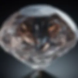 A close-up view of a flawless diamond reflecting light