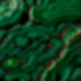 Close-up view of a polished malachite stone showcasing intricate patterns.