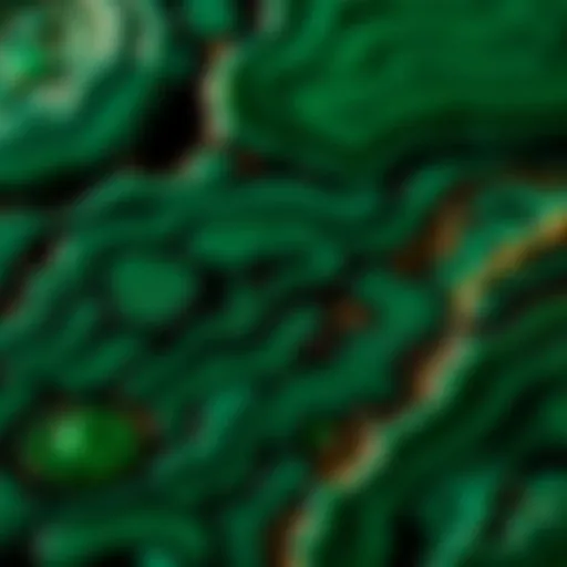 Close-up view of a polished malachite stone showcasing intricate patterns.